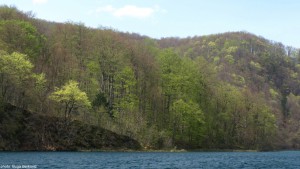 Plitvice H 20160704